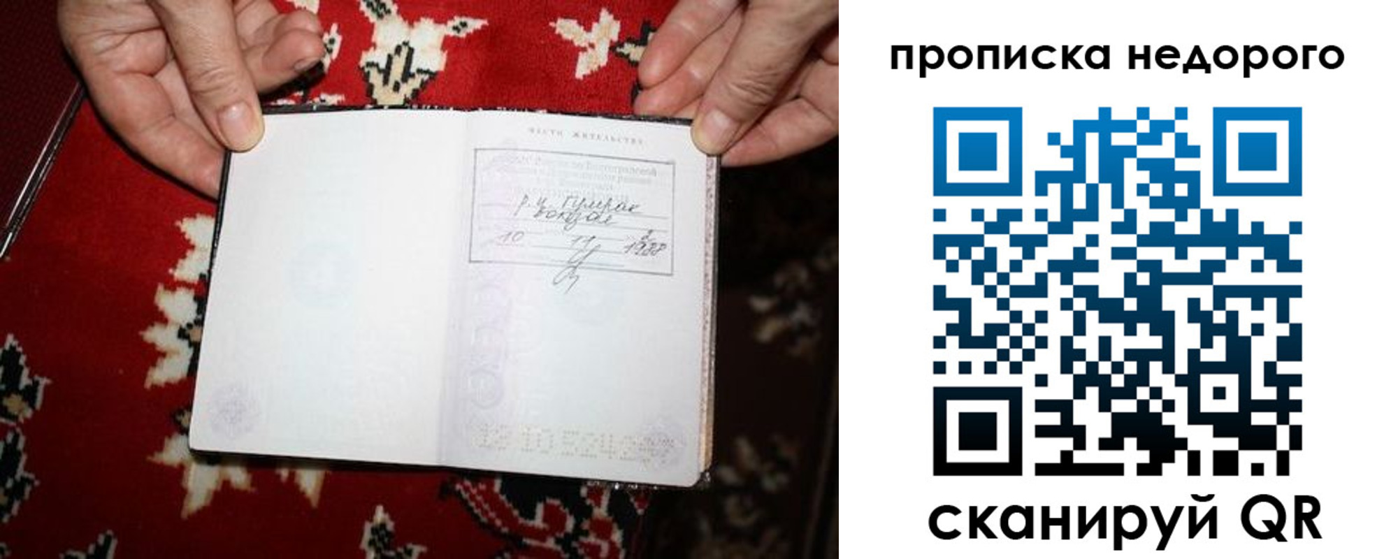 прописка гарантия в Кингисеппе